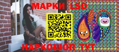 Альфа ПВП Будённовск