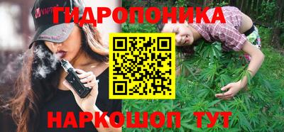Альфа ПВП Будённовск