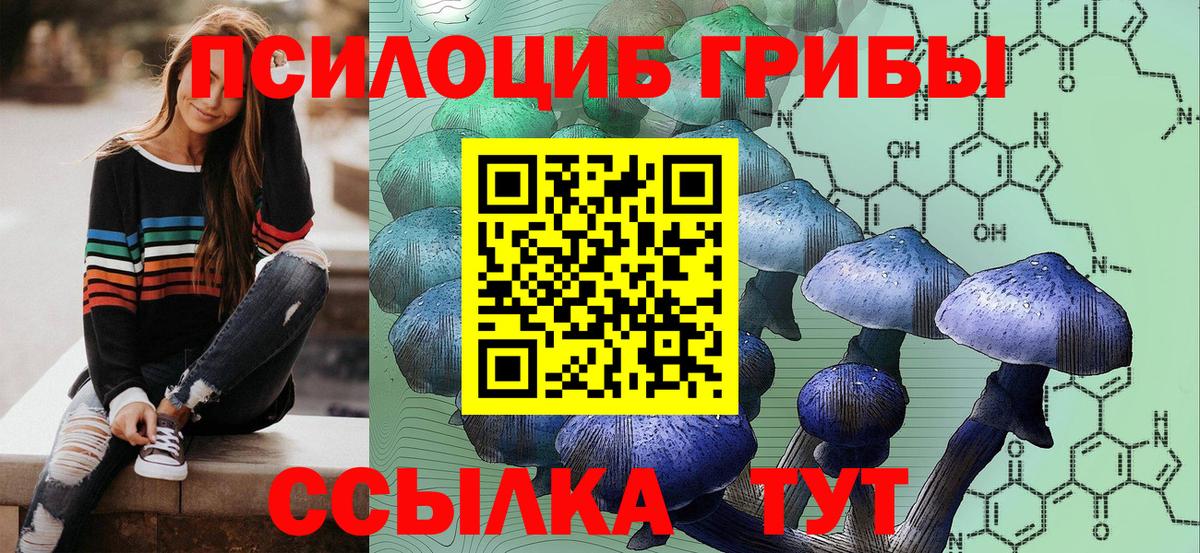 Галлюциногенные грибы MAGIC MUSHROOMS Ачхой-Мартан
